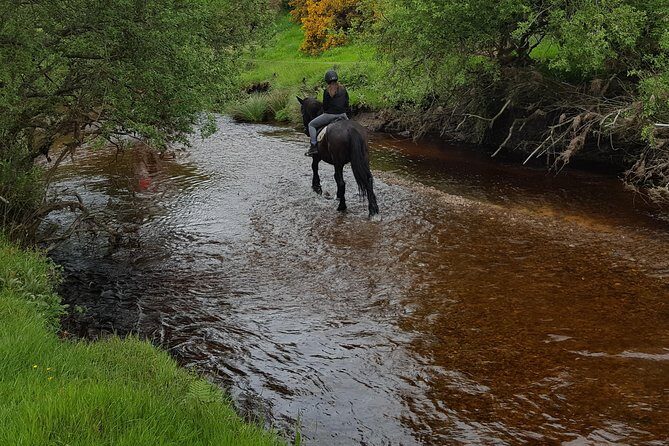 Wicklow Mountains Horse Trekking - Frequently Asked Questions
