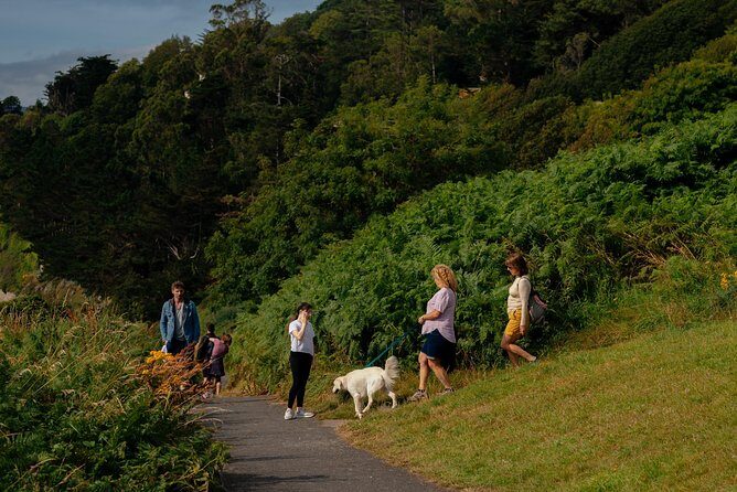 Wicklow Mountains Private Day Trip from Dublin - Exploring Wicklow: What You Can Expect
