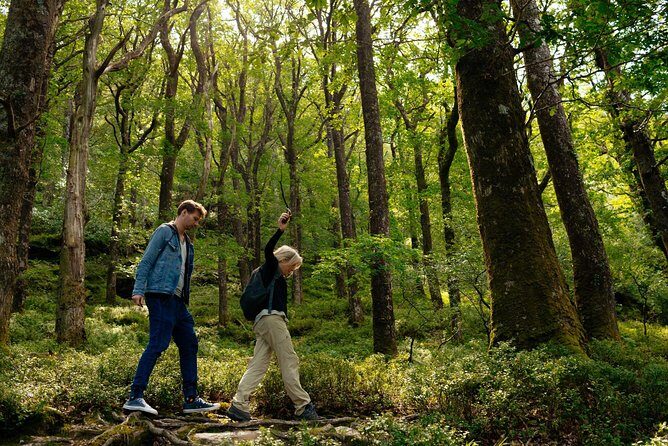 Wicklow Mountains Private Day Trip from Dublin - Authenticity and Value: What Travelers Say