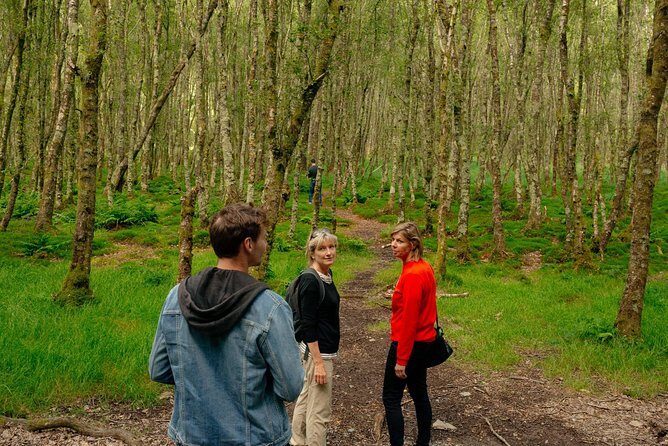 Wicklow Mountains Private Day Trip from Dublin - Who Would Enjoy This Tour?