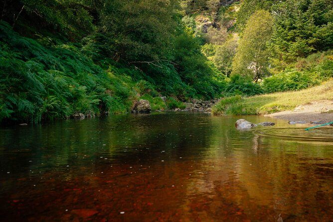 Wicklow Mountains Private Day Trip from Dublin - The Sum Up