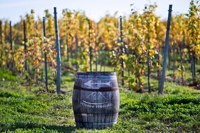 Wieliczka Vineyard: Wine tasting with local snacks - The View and Atmosphere: Why It’s Special