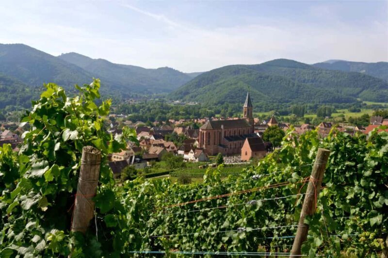Wihr-au-Val: Wine Tasting in Alsace - Key Points