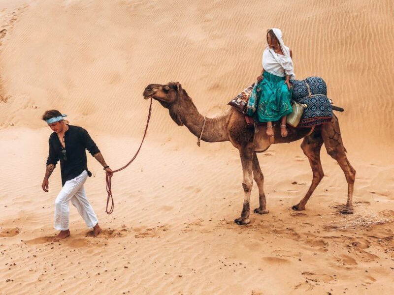 Wild 3 Day Desert Safari - Practical Tips for Travelers