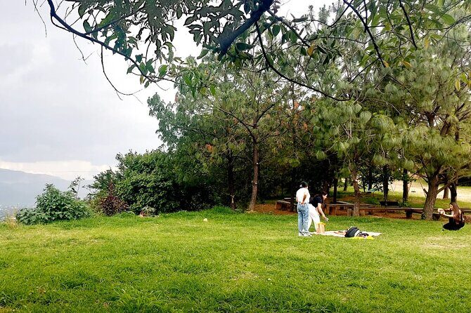 Wild Agaves Hiking Experience in Oaxaca - Exploring the Wild Agaves Hiking Experience in Oaxaca
