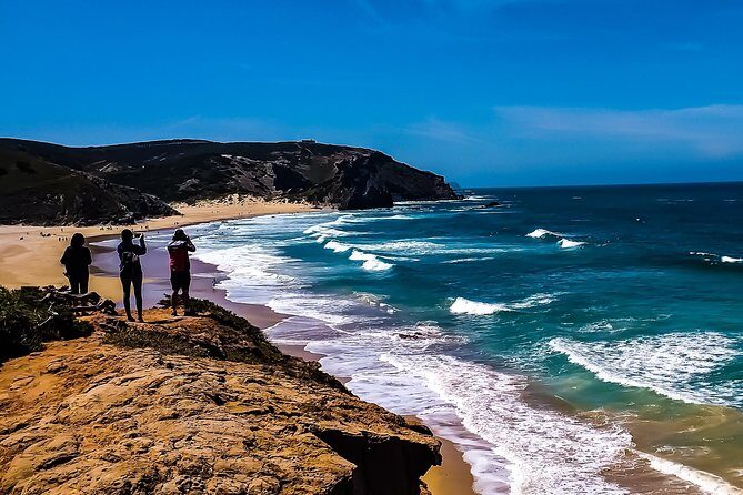 Wild and Wonderful West Coast Full Day Tour - Authentic Experiences and Traveler Feedback
