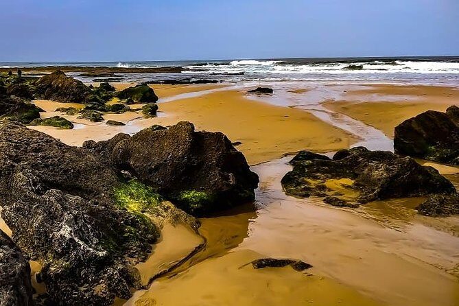 Wild and Wonderful West Coast Full Day Tour - Who Should Consider This Tour?