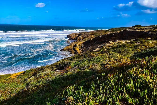 Wild and Wonderful West Coast Full Day Tour - Frequently Asked Questions