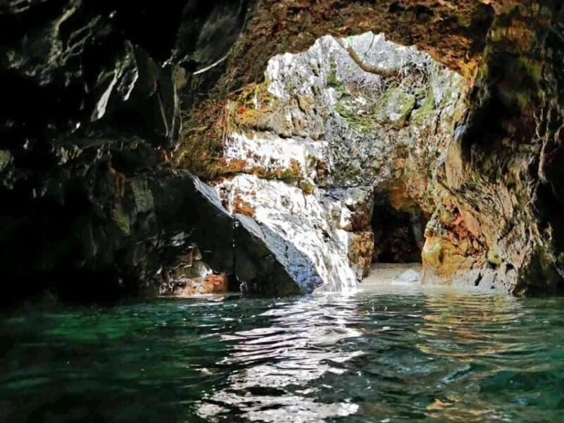 Wild Bays and Plavnik Island: A whole day private boat tour - FAQ