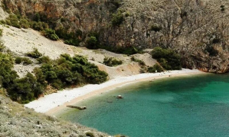 Wild Bays: Swimming and Snorkeling with Capt. Bobo (Private) - The Value of the Experience