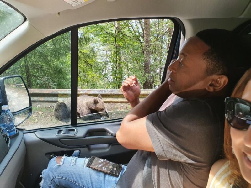 Wild Bears and Dracula Private Day Tour - Final thoughts