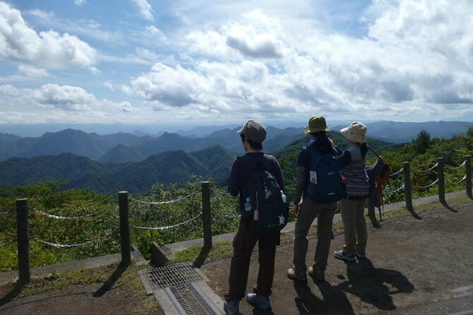 Wild Bird Sanctuary Forest Guided Tour in Nagano - The Sum Up