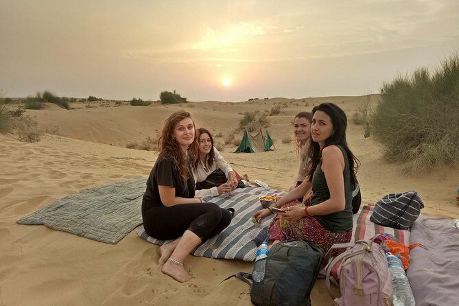 Wild Desert Overnight Safari - An In-Depth Look at the Wild Desert Overnight Safari