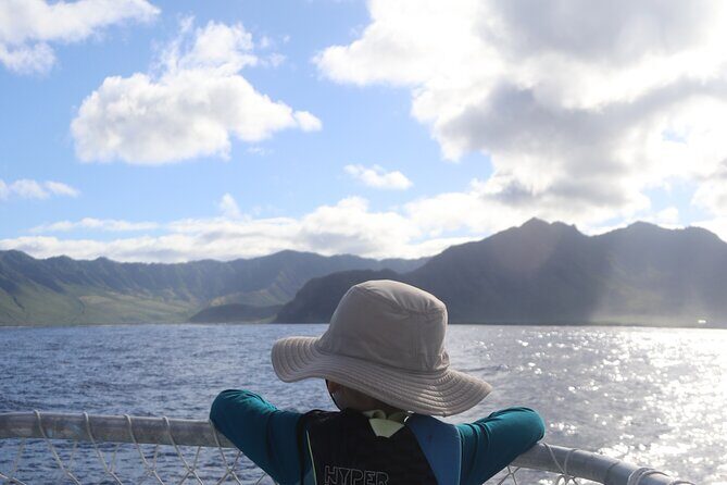 Wild Dolphin Swim, Turtle, Whale Safari with Guided Snorkeling - Analyzing the Value