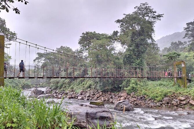 Wild Elephant Anakulam & Waterfalls Tour(munnar valley Trekking) - In-Depth Review: What to Expect from the Wild Elephant Anakulam & Waterfalls Tour