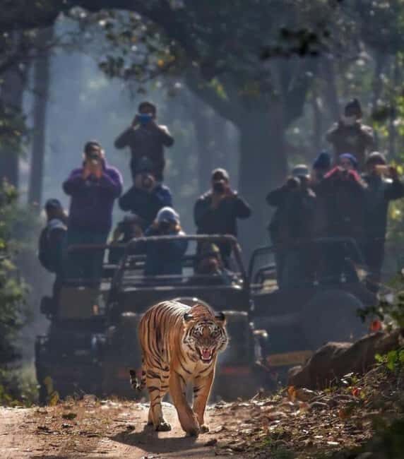 Wild Escape: 3 Days Ranthambore Safari Adventure from Delhi - The Itinerary in Detail