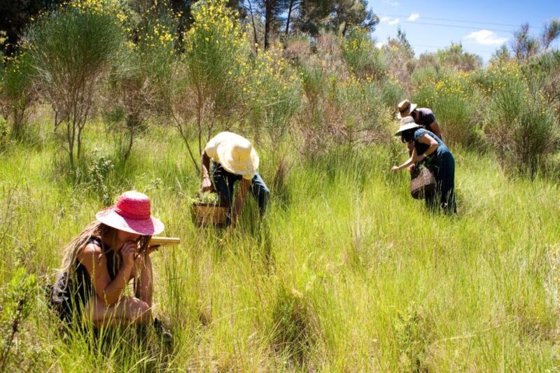 Wild experience: discover, cook & eat the local wild flora - Who Would Love This Tour?