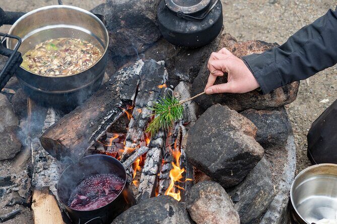 Wild Food & Foraging Hike with Open Fire Lunch - Who Should Consider This Tour?