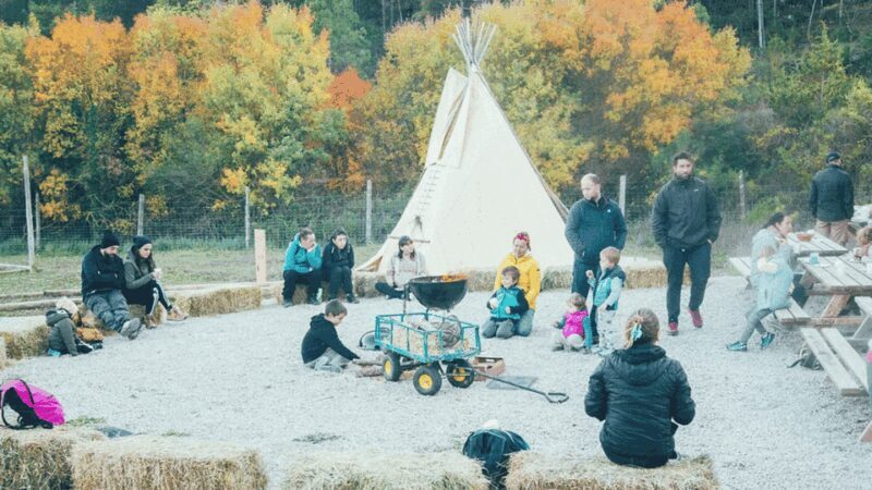 Wild Forest Reserve Foundation - Caregiver for a day - Final Thoughts