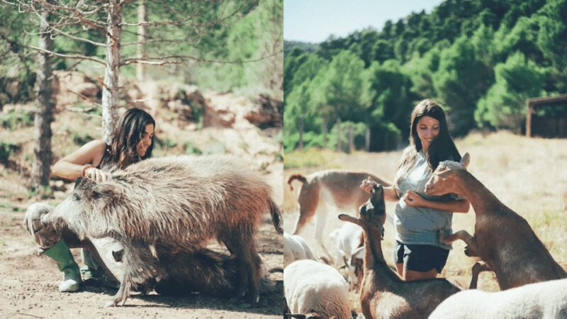 Wild Forest Reserve Foundation - Visit - A Closer Look at the Wild Forest Reserve Foundation Experience