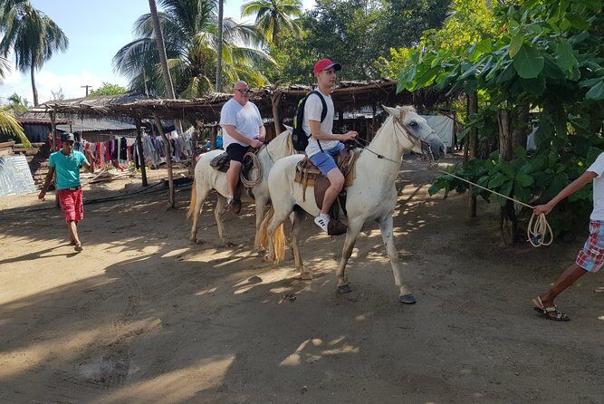 Wild & Free: Lagoon Boat, Beach Horseback, Crocs & Turtle Release - Who Will Love This Tour?