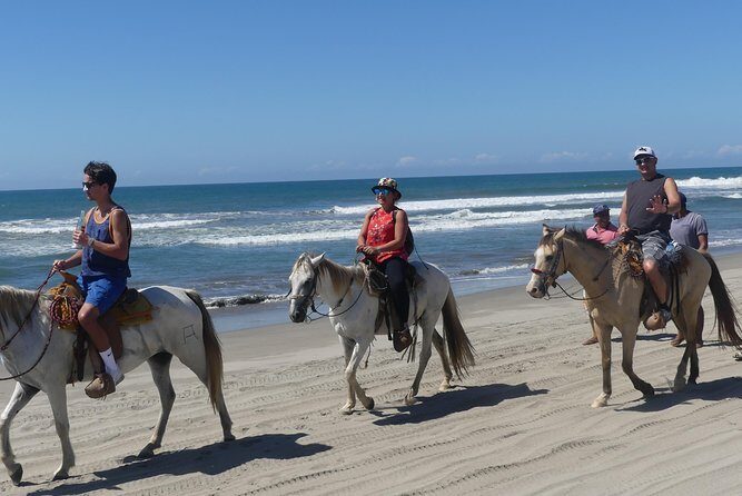 Wild & Free: Lagoon Boat, Beach Horseback, Crocs & Turtle Release - FAQs