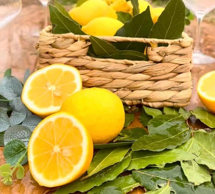 Wild Fruit Picking Experience at Hani i Qerosit - Wild Fruit Picking Experience at Hani i Qerosit: A Truly Authentic Albanian Journey