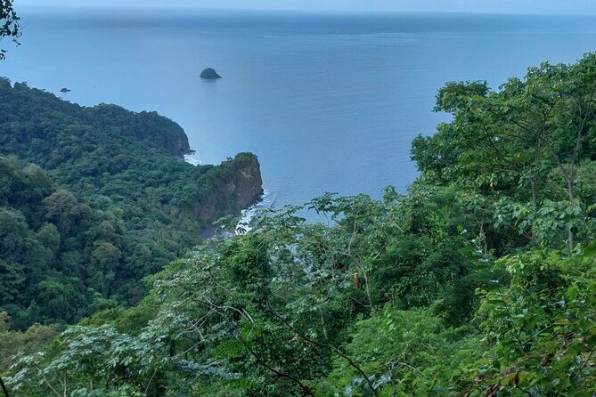 Wild Immersion: Hiking in the Heart of the Rainforest - Wild Immersion: Hiking in the Heart of the Rainforest