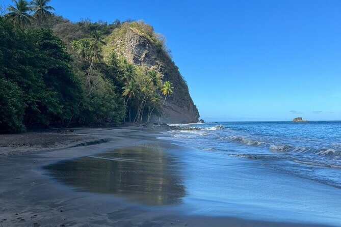 Wild Immersion: Hiking in the Heart of the Rainforest - A Detailed Look at the Tour Experience