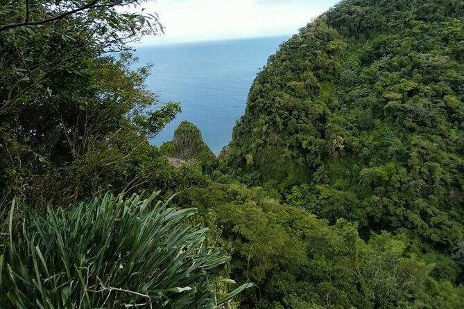 Wild Immersion: Hiking in the Heart of the Rainforest - Frequently Asked Questions