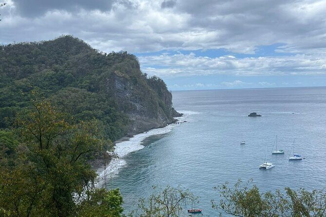 Wild Immersion: Hiking in the Heart of the Rainforest - Final Thoughts