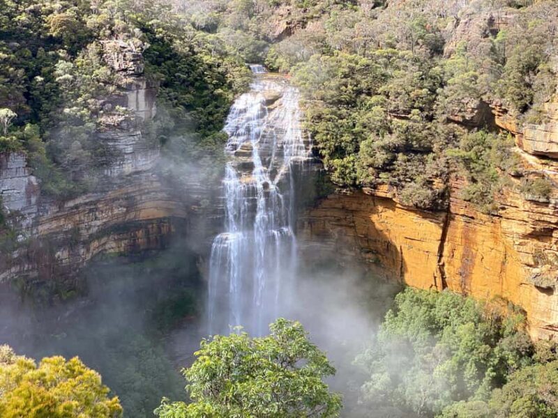 Wild Kangaroos & Blue Mountains private tour - A detailed look at the Blue Mountains & wildlife experience