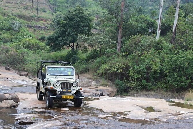 Wild Life Anakulam Jeep Safari - An In-Depth Look at the Experience