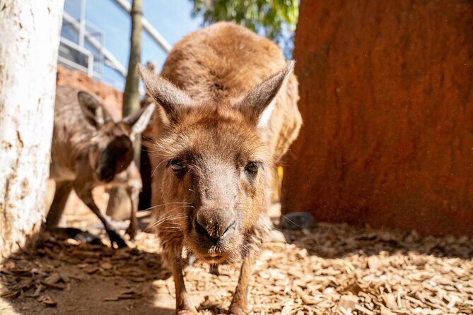 WILD LIFE Sydney Entrance Ticket - FAQ