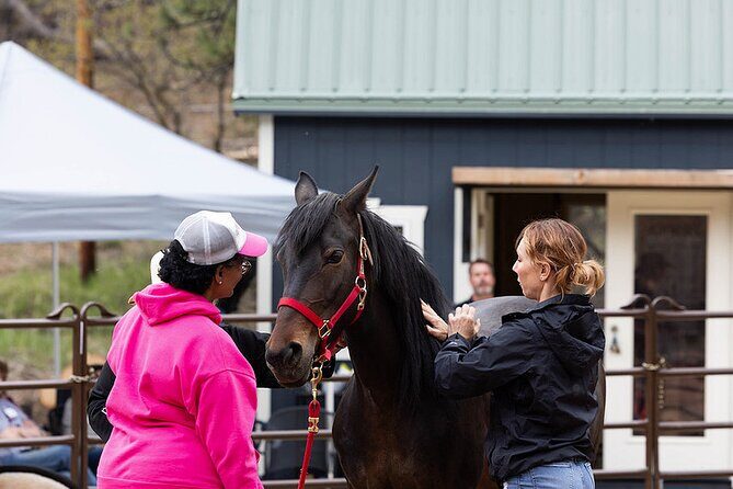 Wild Mustang Experience Near Colorado Springs - Who Is This Tour Best For?