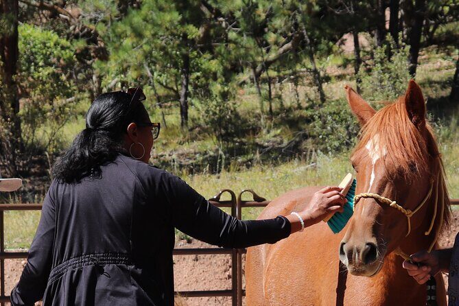Wild Mustang Experience Near Colorado Springs - Frequently Asked Questions