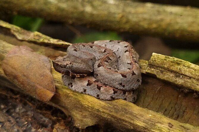 Wild Nature Experience - Authentic Encounters: What Travelers Are Saying