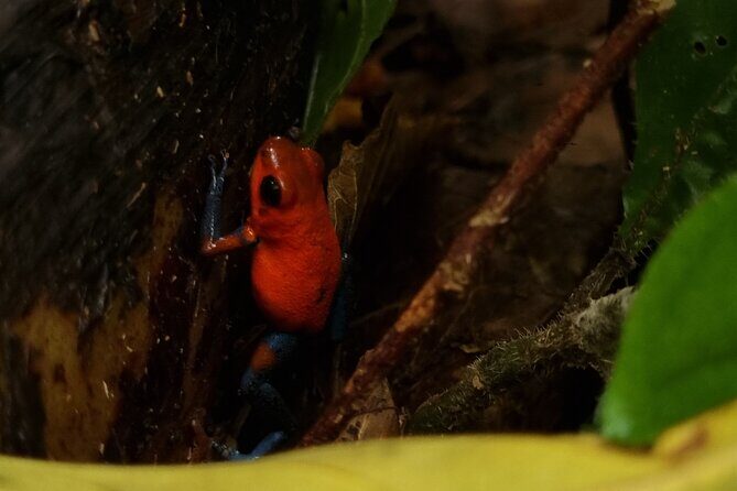 Wild Nature Experience - The Experience Provider: Malekus Adventures