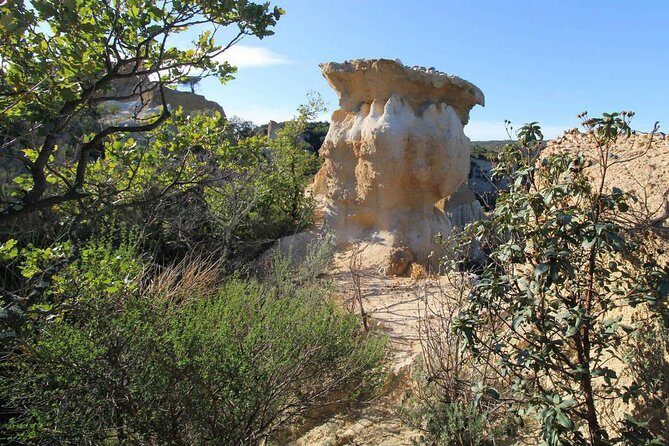Wild Organs: Grand Landscape, Plants, Geology, Birdsongs - A Detailed Look at the Tour