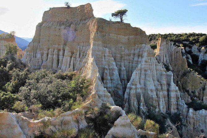 Wild Organs: Grand Landscape, Plants, Geology, Birdsongs - Final Thoughts
