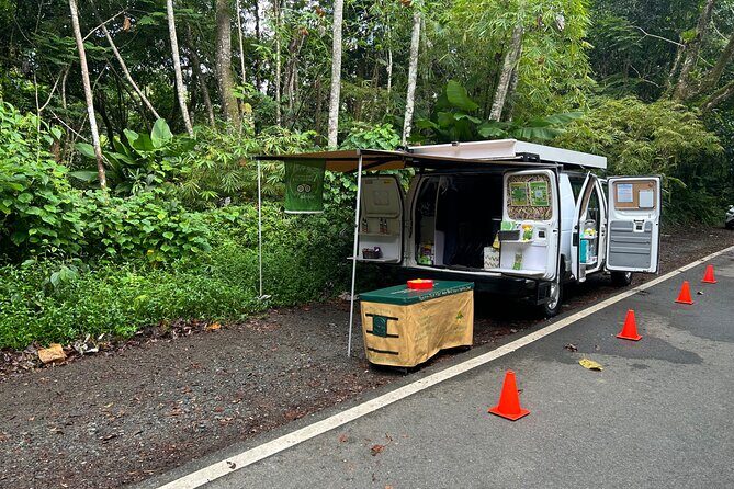 Wild & Scenic Rainforest Nature Walk (Day Time River & Swim) - Key Points