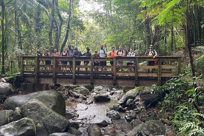 Wild & Scenic Rainforest Nature Walk (Day Time River & Swim) - The Sum Up