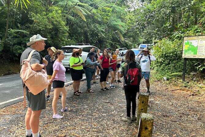 Wild & Scenic Rainforest Nature Walk (Day Time River & Swim) - Frequently Asked Questions