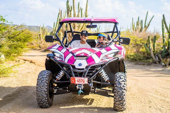Wild Side UTV Tour: Explore the Northern treasure - Key Points