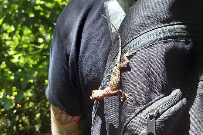 Wild, Sweet and Refreshing: A Tour of Cahuita, Bri-Bri and Ma-Cu - Who Will Enjoy This Tour?