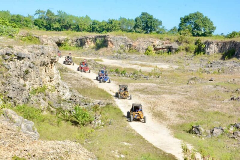 Wild Tiger Buggy: The Best Buggy Excursions in Punta Cana - FAQs