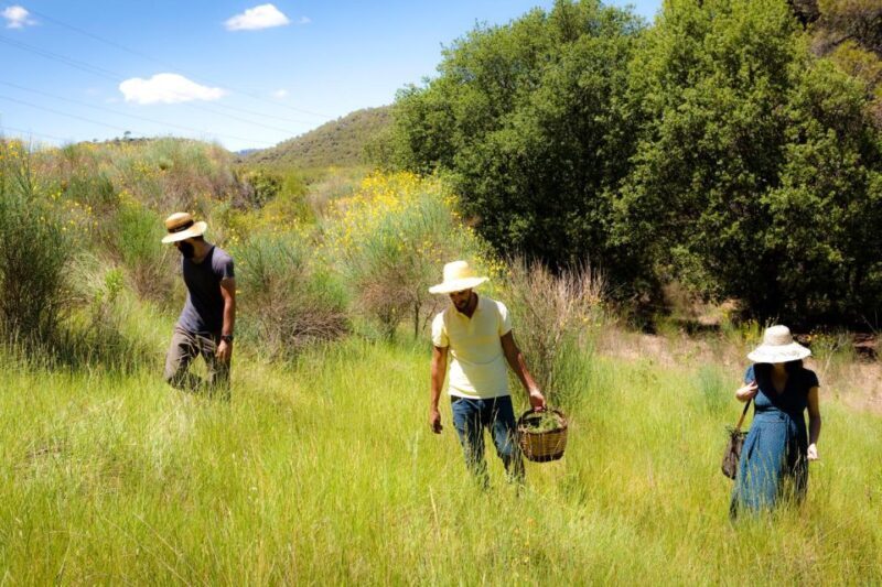 Wild walk: discover the local wild flora - Key Points