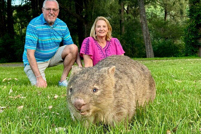 WILD Wombat and Kangaroo Day Tour, All Inclusive - WILD Wombat and Kangaroo Day Tour, All Inclusive — A Close Encounter with Australia’s Wildlife and Nature