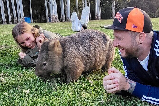 WILD Wombat and Kangaroo Day Tour, All Inclusive - The Practical Side: What You Can Expect