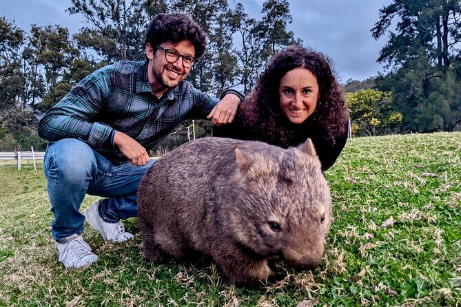 WILD Wombat and Kangaroo Day Tour, All Inclusive - Final Thoughts: Is This Tour for You?